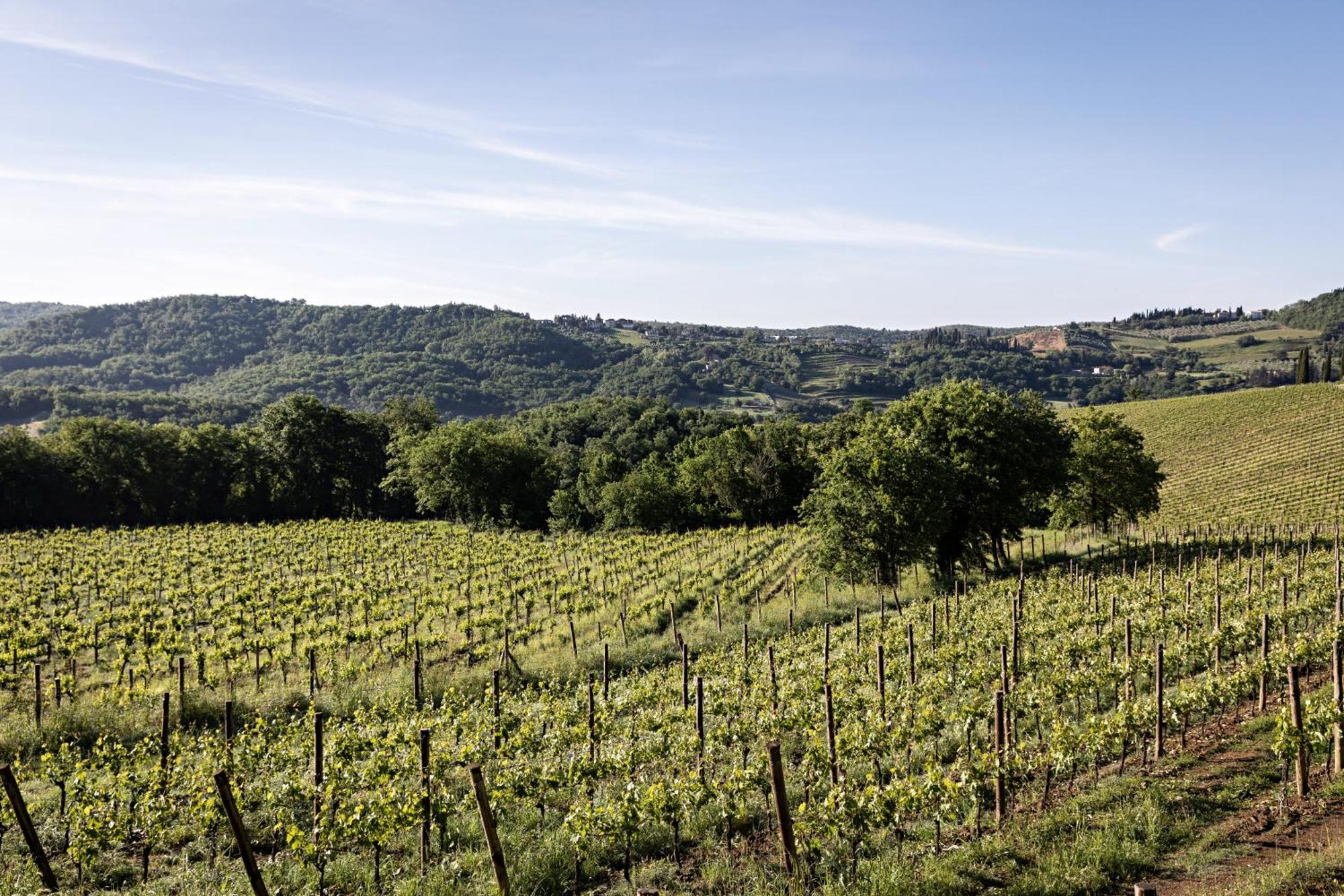Pieve Aldina Relais & Chateaux ราดดา อิน เคียนติ ภายนอก รูปภาพ